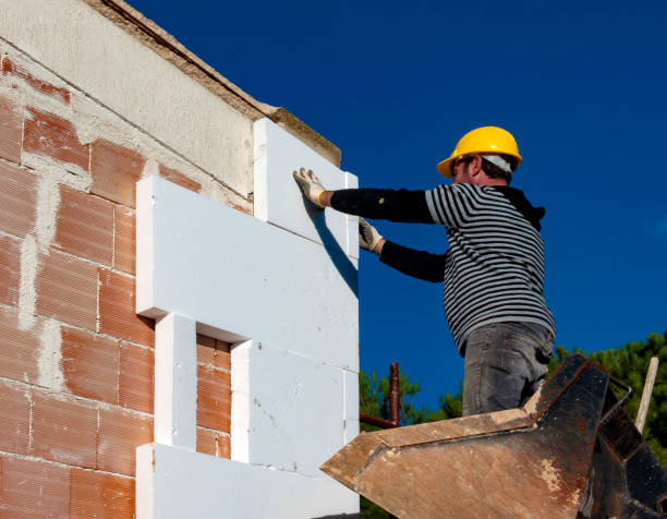 Best Spray Foam Insulation  in Lanse, MI