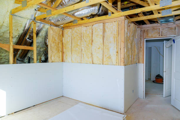 Insulation Inspection Services in Lanse, MI