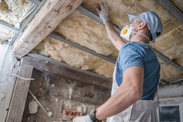 Best Insulation Contractor Near Me  in Lanse, MI
