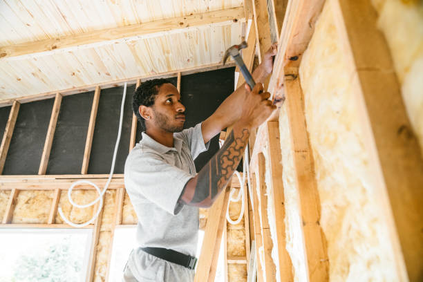 Best Professional Insulation Contractor  in Lanse, MI