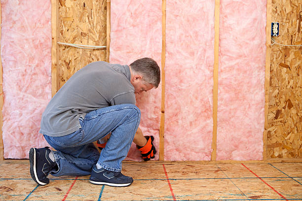 Best Cellulose Insulation  in Lanse, MI