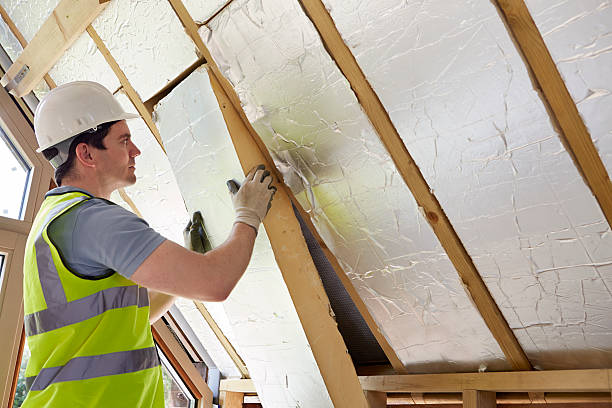Best Attic Insulation Installation  in Lanse, MI